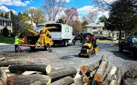 Best Arborist Consultation Services  in Monroe, GA