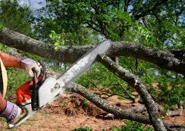 Best Lawn Maintenance Plans  in Monroe, GA