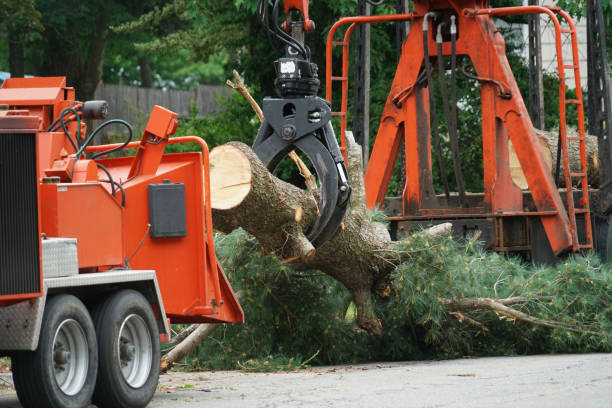Best Lawn Mowing  in Monroe, GA